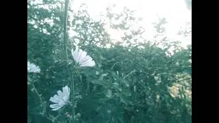Анатолий  Приставкин. Ночевала тучка  золотая. Часть 3