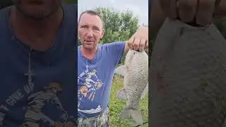 Килограмовые караси вместо карпов нас атакавали)