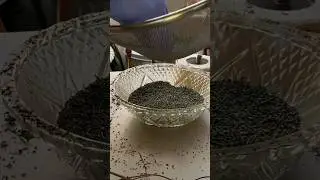 Storing Oregano for Winter Use