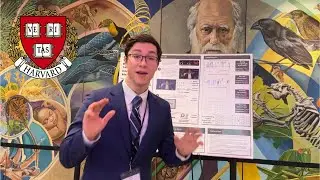 My AI Research at Harvard University