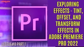 Exploring Effects - Tint, Offset, and Transform Effects in Adobe Premiere Pro | Lecture 26