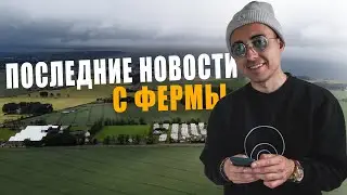 НОВОСТИ с фермы Allanhill. Работа на клубничной ферме в Шотландии.