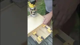 Dewalt DCW600 with edge guide #shorts