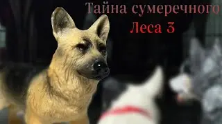 Тайна сумеречного леса 3 серия Шляйх сериал