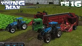FS 16 / FARMING SIMULATOR 16 / TIMELEPSE 81 / СВЕКЛУ КОПАТЬ ФС 16