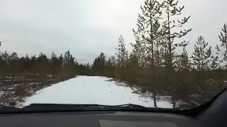 В заснеженный лес. Октябрь. Серия 2. Перед зимой повидаться с ней