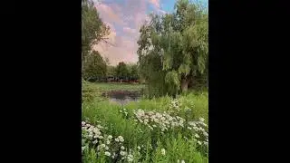 🪻Cottagecore Playlist🪻(Nature Ambience)
