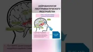 деперсонализация дереализация нейробиология #мозг  #наука