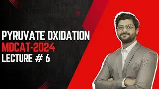 Pyruvate Oxidation| MDCAT 2024 | Video # 6 | Hamza Ramzan | #mdcat #mdcat2024 #mdcatmcqs