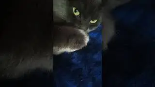 Спокойной ночи .