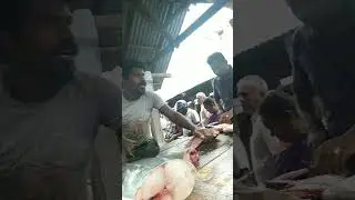 எங்க ஊரு Nagercoil மீன் மார்கெட்  மேலராமன்புதூர் வாங்க பாக்கலாம்