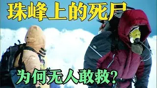 珠穆朗玛峰上的尸体！为何无人敢救？背后残忍的真相曝光！