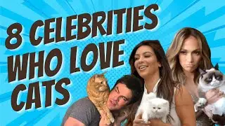 8 Celebrities Who Are Secretly Big Cat People