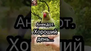 Анекдот. Хороший день ...