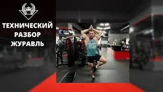 ТЕХНИЧЕСКИЙ РАЗБОР. ЖУРАВЛЬ / ФЦ СПЕКТР