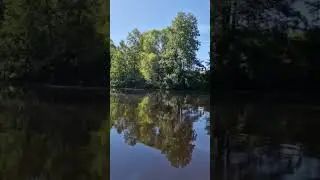 SUP board  рулит 🤘#природа #лето2024