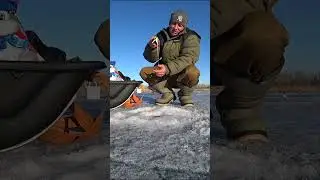 Рыбалка на ельца 