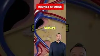 Why do you have BLOOD in your URINE? 