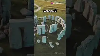 Топ фактов о секретах  #facts #fun #science #interesting #interestingfacts #funny