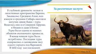 Иван Заянчковский   «ПАМЯТНИКИ ЖИВОТНЫМ»