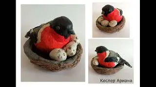 Наши пернатые