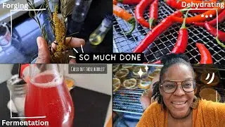 ✨ Forge, Ferment and Dehydrate with me! #growyourownfood