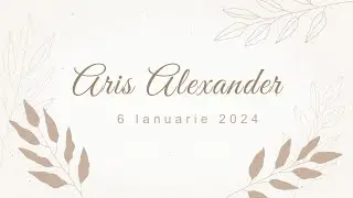 Best moment Aris Alexander