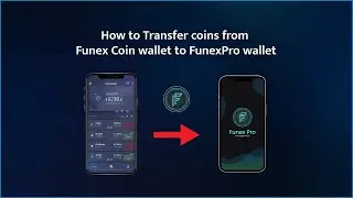 Transferring Coin from Funex Coin Wallet to Funex Pro Wallet