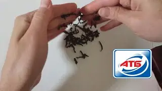 Закупка продуктов на месяц  - Чай и сладости !!! Вкусная еда АТБ!