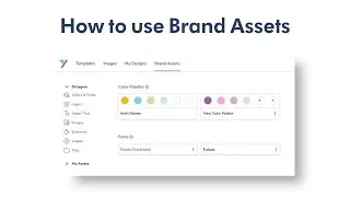 Master Desygner's Brand Asset Powerhouse!