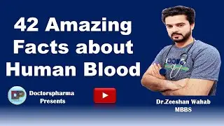 42 Amazing Facts about Human Blood by Doctorspharma Official