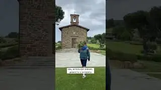 Флористика / Флорист Профи с Дмитрием Туркан 