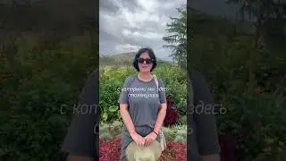 Стоит ли ехать в Африку? Отзыв о туре. Сафари в Танзании 