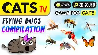 CAT TV - Bugs ULTIMATE Compilation 🙀🐝🪰 Game for cats 😻🐶 Multi background 🐝 🐭🪳