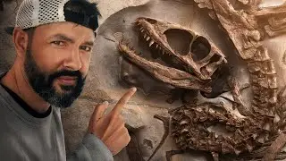 The first French tyrannosaur?
