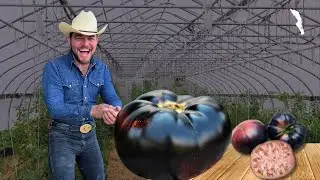 Tuve la fortuna de conocer a la fuerza agrícola de todo el estado de Baja California