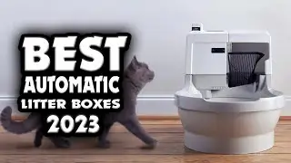 👉 The Best Automatic Litter Boxes of 2023 | Top 4 Hassle-Free Cat Care | Review Spot