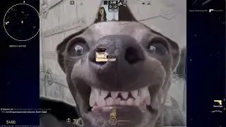 Они что накуреные  2                      