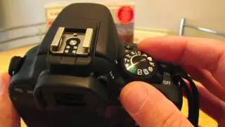 Canon EOS 100D Digital SLR review