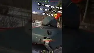AMX 40 милашка