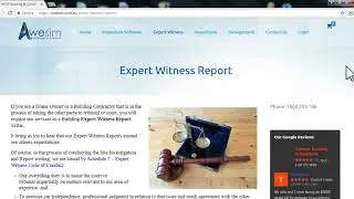 Expert Witness Report