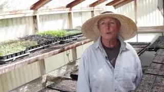 Thomas Hill Organics Presents Windrose Farm