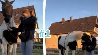 Random vlog  #1 | 𝐻𝐴𝑙𝑖