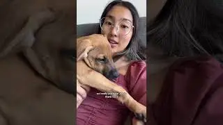 Guilt and Growth | Pet Grief