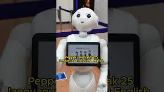 What can Pepper robots do? 