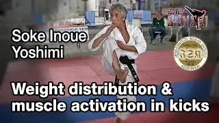 Soke Inoue Yoshimi - Weight distribution and muscle activation in kicks - Seminar Italy 2013