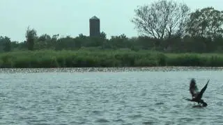 De Wieden deel 2 1080p HD