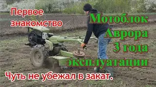 Мотоблок Aurora МТ 81-Д. Краткий обзор от обычного обывателя.