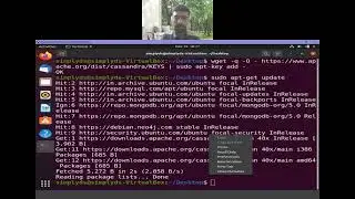 Installing Apache Cassandra in Ubuntu 20.04