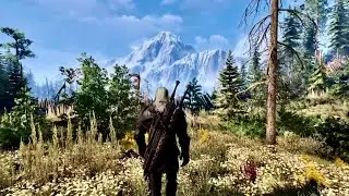 [4K⁶⁰ HDR] The Witcher 3 Ray Tracing - Next Gen | Immersive lighting Mod List